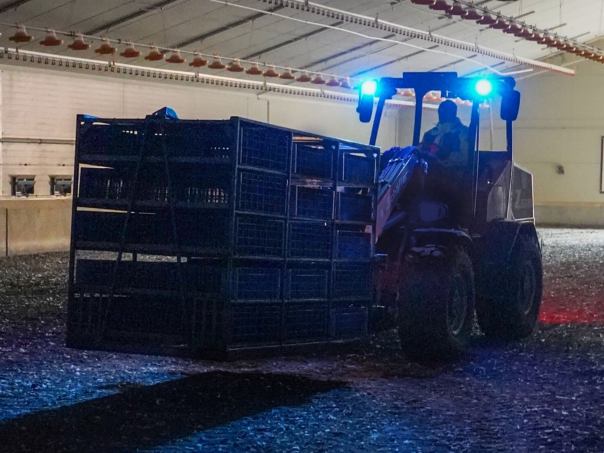 Radlader 5680 Z Image 5